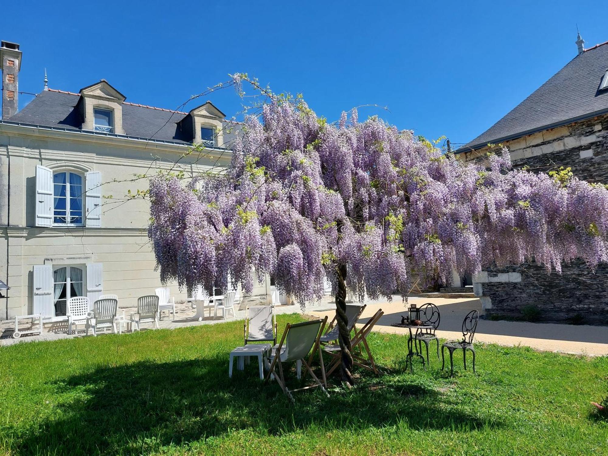 Apartamento La Bohal' Loire La Bohalle Exterior foto